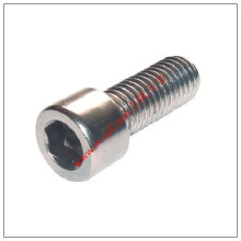 316 Hex Socket Cap Stainless Steel Screw (SS001)